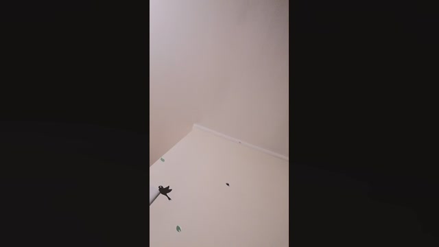 Chiquitismorena 16-06-2022 bj-dildo 