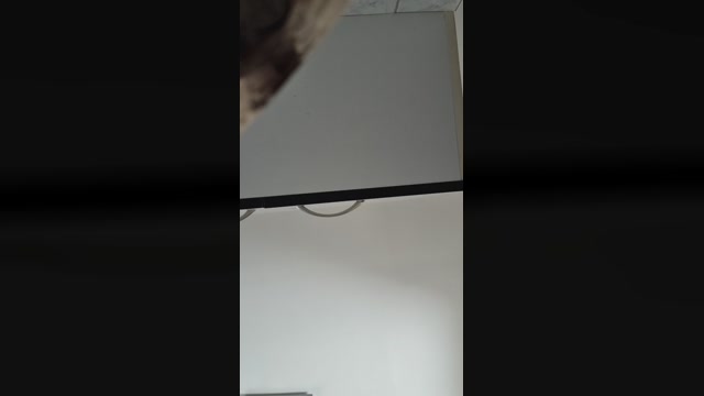 Doperman  16-06-2022 Recorded Video sweet