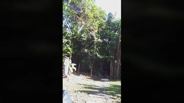 Gaelpiroca  16-06-2022 Recorded Video playtime