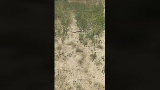 apem22  16-06-2022 Recorded Video toys