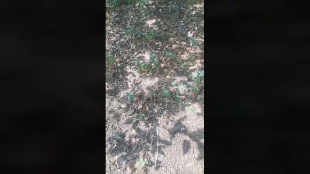 robertino37  16-06-2022 Recorded Video fuckass