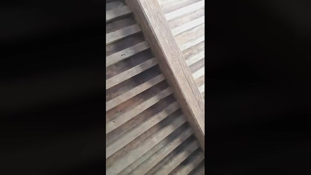 boubou144  17-06-2022 Recorded Video sexymale