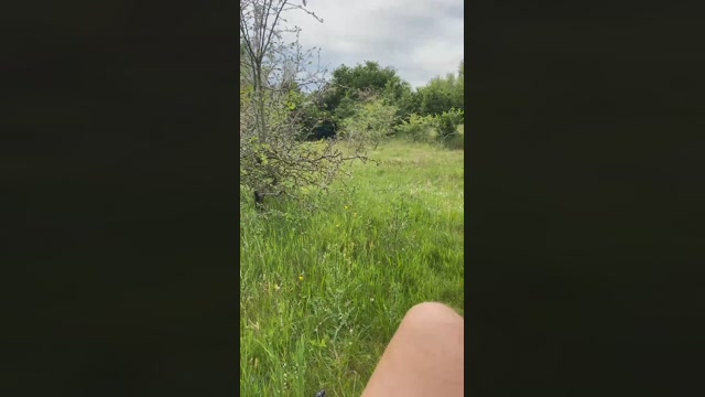 geilerjung69  17-06-2022 Recorded Video bigload