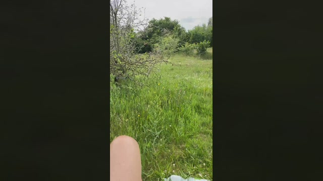 geilerjung69  17-06-2022 Recorded Video lush
