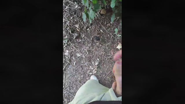 ilmio21  16-06-2022 Recorded Video sexykitty
