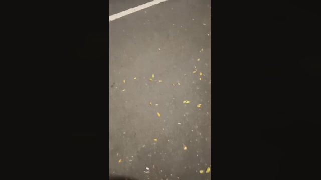 jackson199800  16-06-2022 Recorded Video fuckass