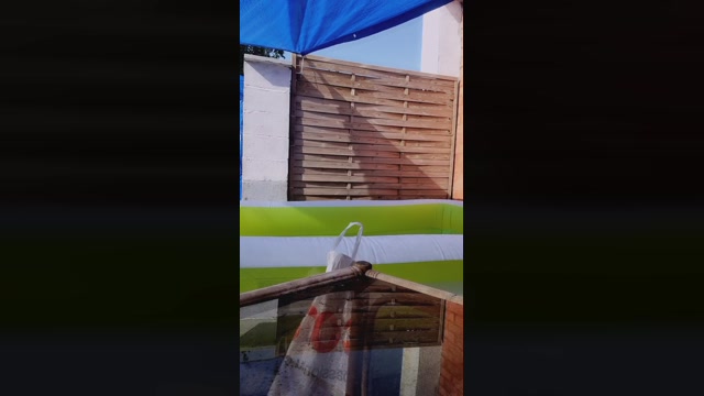 justemarie 17-06-2022 lovense 
