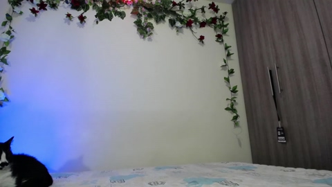 mr_hugeddick  17-06-2022 video bigtoys