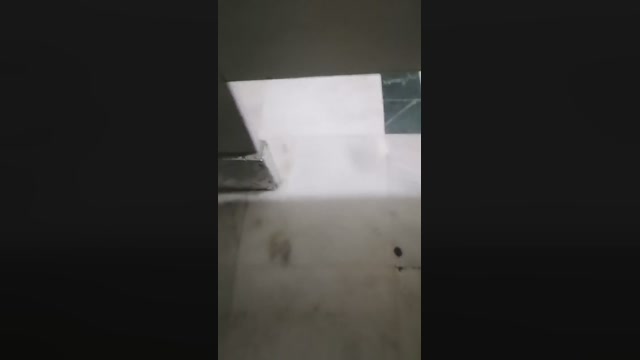 COYOTEROCCO
