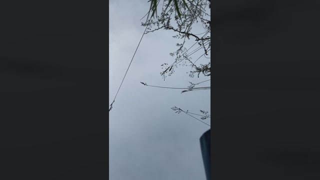 geilerjung69  17-06-2022 Recorded Video prettyface