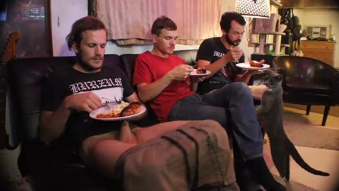 hollandhousestudios  18-06-2022 video oral