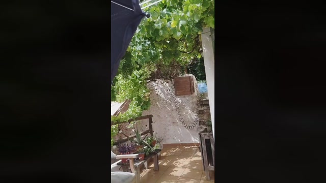 Dani_MalaPedro  18-06-2022 Recorded Video bigcock