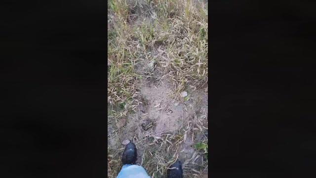 PauzudaoMG  18-06-2022 Recorded Video hot
