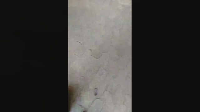 capixaba_xxx  18-06-2022 Recorded Video hard