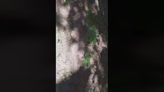 maturo221  20-06-2022 Recorded Video prettyface