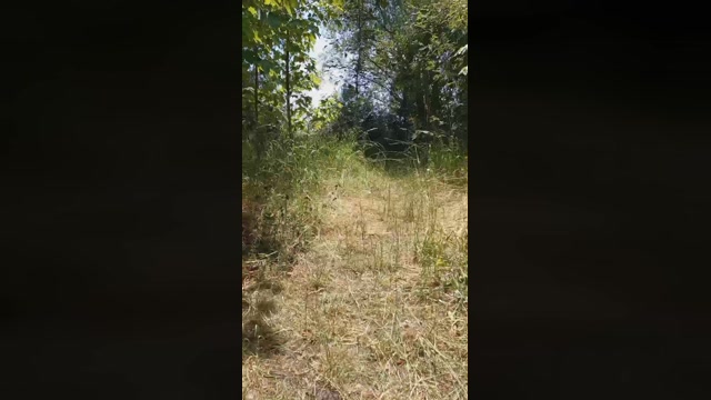 ChakBigDick  21-06-2022 Recorded Video kissing