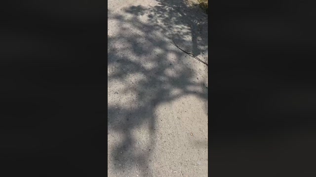 magicman5  21-06-2022 Recorded Video Naked