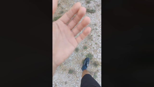 2bfriendz  21-06-2022 Recorded Video toys