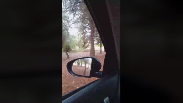 Bcnees  22-06-2022 Recorded Video lovense