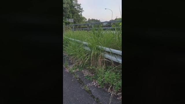 sorato111  22-06-2022 Recorded Video natural