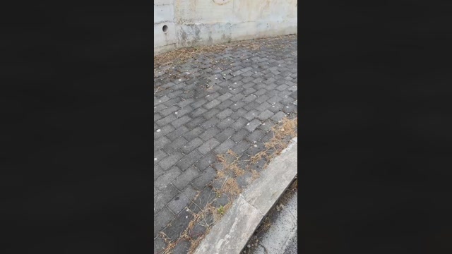 Culo_Fist  23-06-2022 Recorded Video hard