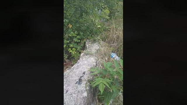 emanuele033  23-06-2022 Recorded Video sweet