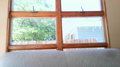 dohmerboyz  23-06-2022 video lick