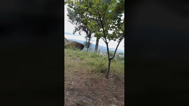 simon_and_dav1d  23-06-2022 Recorded Video beautiful