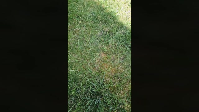 Outdoorgeil1  25-06-2022 Recorded Video fuckhard