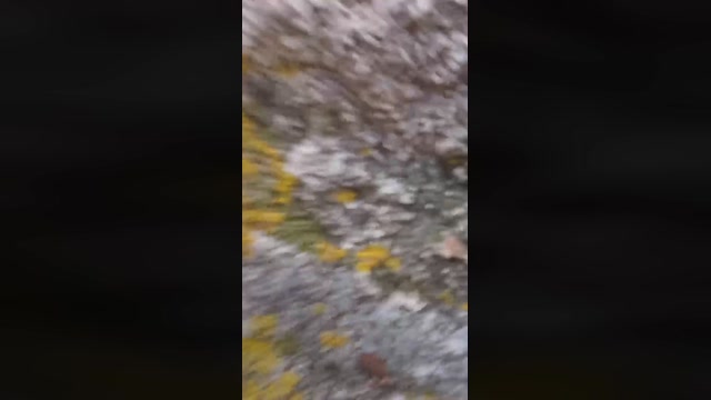 carlit0s3  25-06-2022 Recorded Video sweet
