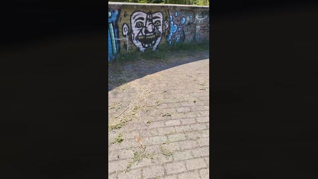 giorgio526  25-06-2022 Recorded Video ass