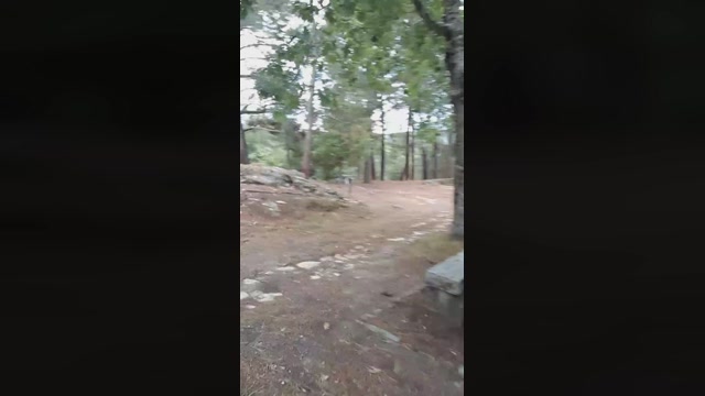 simon_and_dav1d  24-06-2022 Recorded Video suck