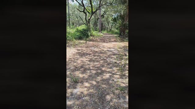 underwatermast1  24-06-2022 Recorded Video harddick
