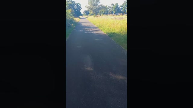 Public___  25-06-2022 Recorded Video striptease