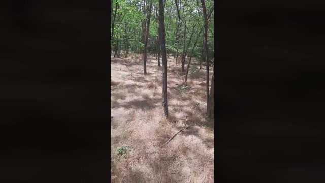 faraon47  26-06-2022 Recorded Video fingers