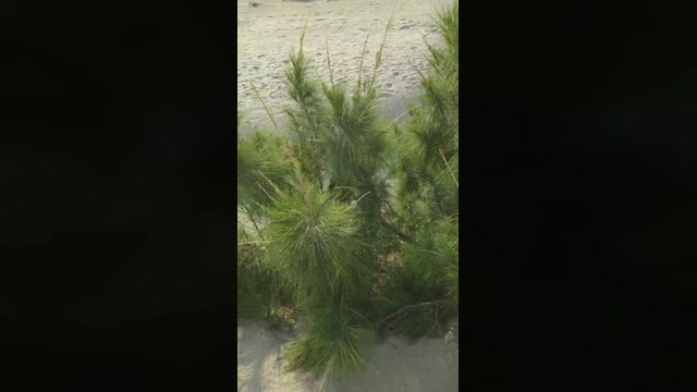 tarcton78  26-06-2022 Recorded Video moan