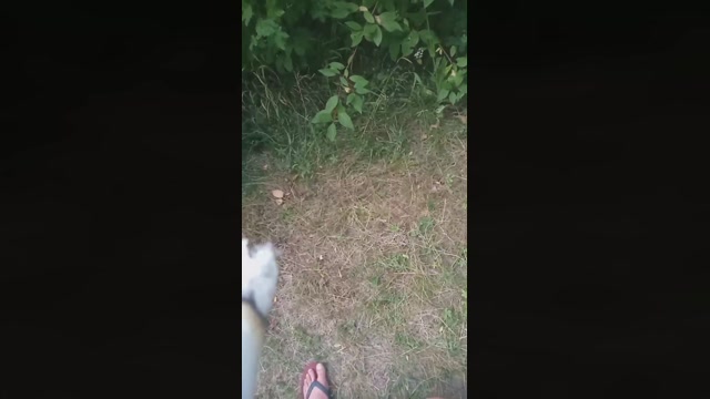 Public___  26-06-2022 Recorded Video skinny
