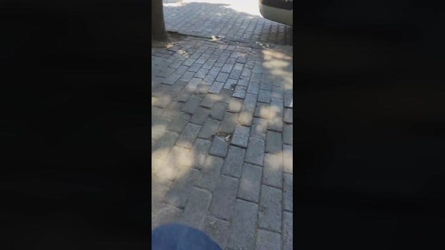Zevkisefa_46  27-06-2022 Recorded Video analtoy