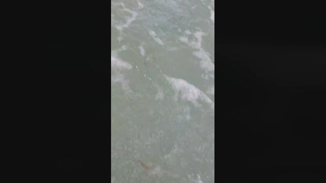 raboadicto  27-06-2022 Recorded Video sexy