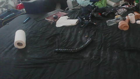 siliconed  27-06-2022 Recorded Video suck