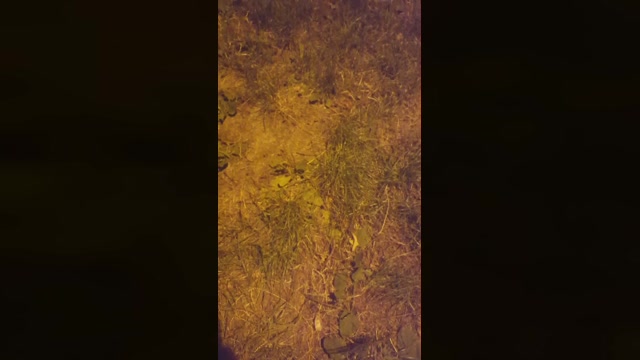 sniffetto87  27-06-2022 Recorded Video sexy