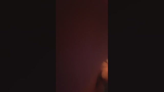 leo_bra_bol
