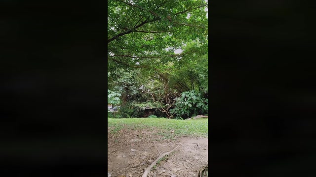 omarmohammedhot  28-06-2022 Recorded Video hard