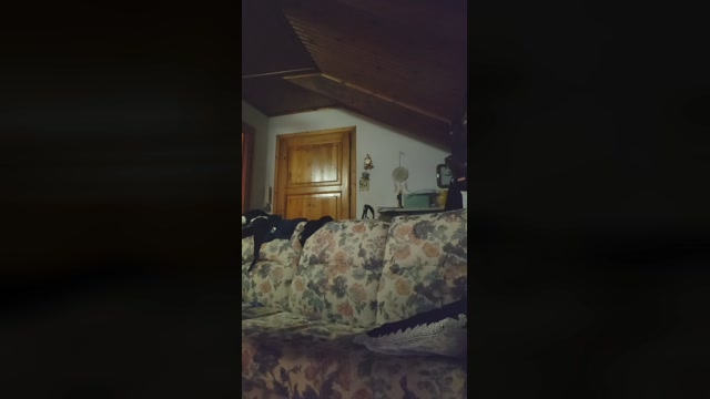 piggiu9010  28-06-2022 Recorded Video Pretty