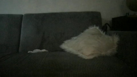 Coupleversagay  29-06-2022 Recorded Video big