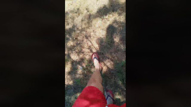 Public___  29-06-2022 Recorded Video strip