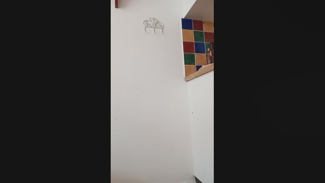 PussyWithWings 29-06-2022 spanking 