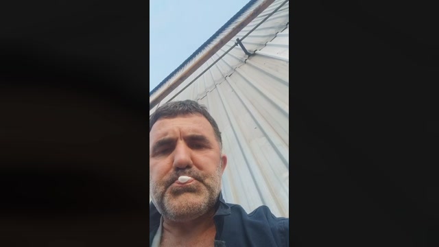 Zevkisefa_46