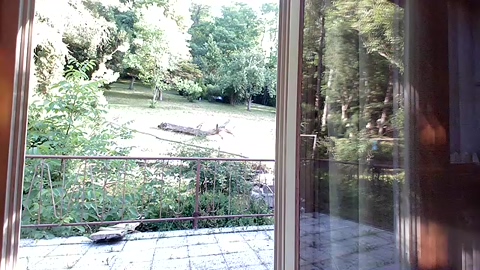 germansexyboy2  29-06-2022 Recorded Video legs