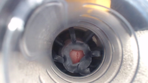 jeffrodgerschaturbat  29-06-2022 video suckcock